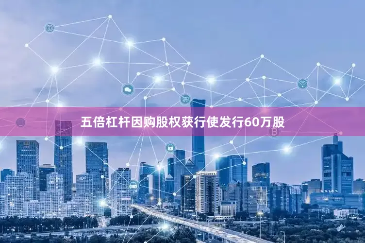 五倍杠杆因购股权获行使发行60万股