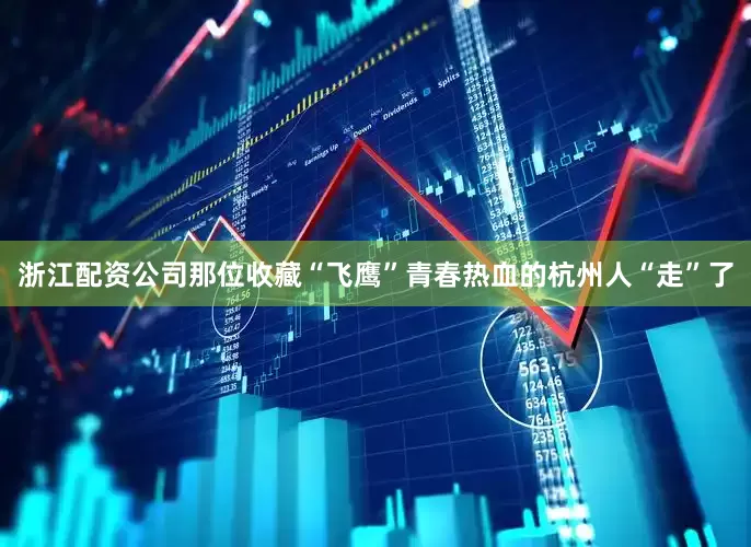 浙江配资公司那位收藏“飞鹰”青春热血的杭州人“走”了